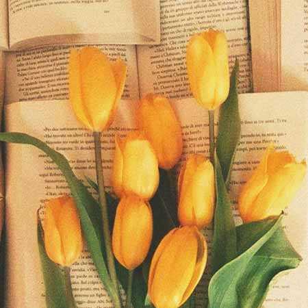 اینستا از آسمون داره میاد یه دسته حوری اخراجی ها