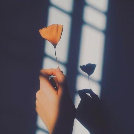 آهنگ بازم دلم گرفته گریم اختیاری نیست با صدای زن