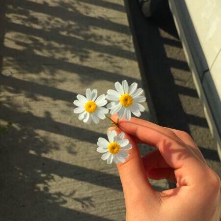 آهنگ میدونم از حالا جفتی میشن عکسامون