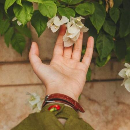 آهنگ سبد سبد ستاره روی سرت میریزم با صدای زن