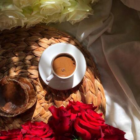 آهنگ تو کدوم از این گلایی رز لاله نسترن