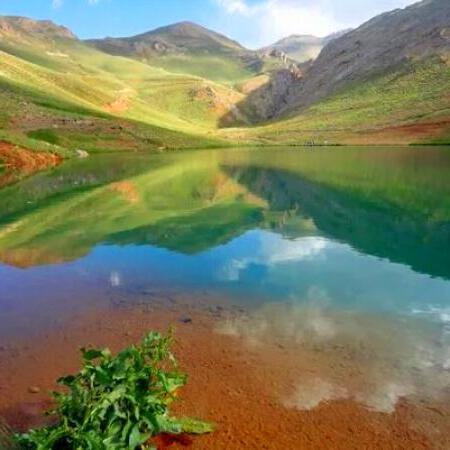 آهنگ دورچی کجایی بگو الان تنها کسی که داشتم بهش اطمینان