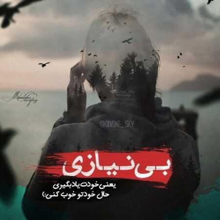 نیازو تو خودم کشتم که هرگز تا نشه پشتم از معین