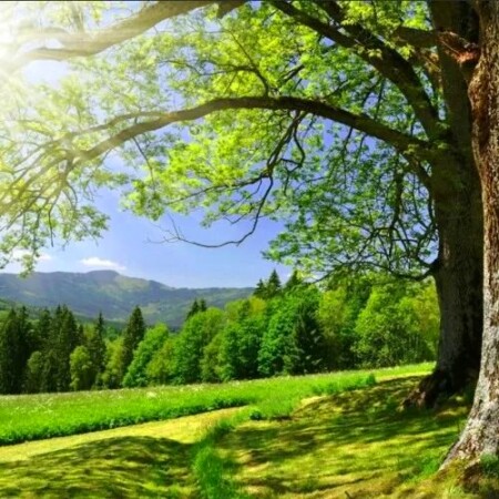 تصویر مطلب