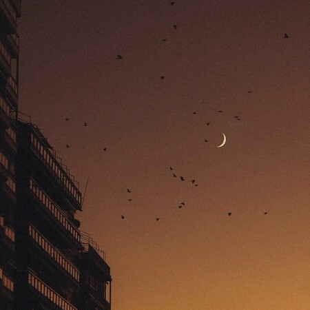 تصویر مطلب