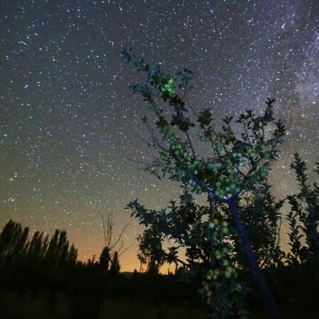 تصویر مطلب