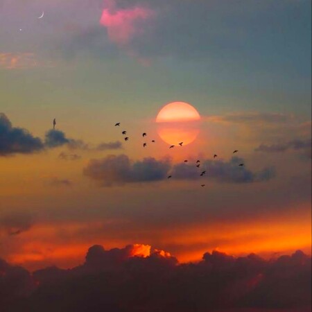 تصویر مطلب