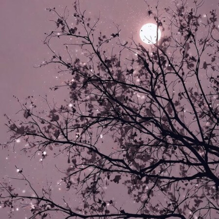 تصویر مطلب