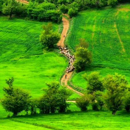 تصویر مطلب