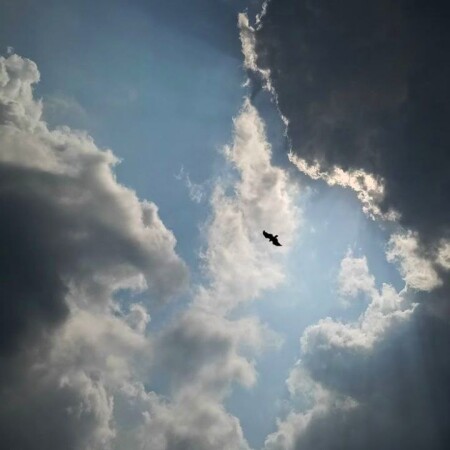 تصویر مطلب