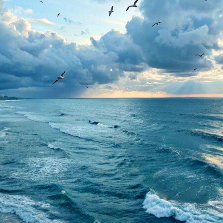 تصویر مطلب
