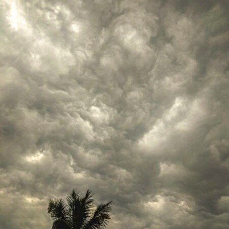 تصویر مطلب