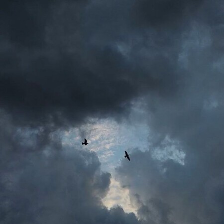 تصویر مطلب