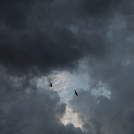 تصویر مطلب