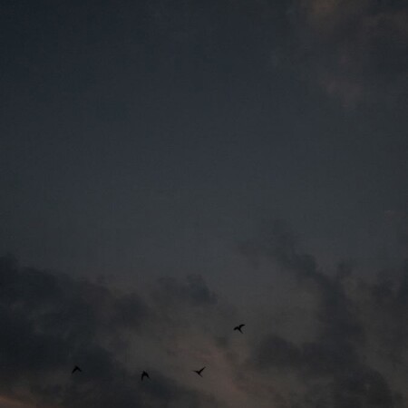 تصویر مطلب