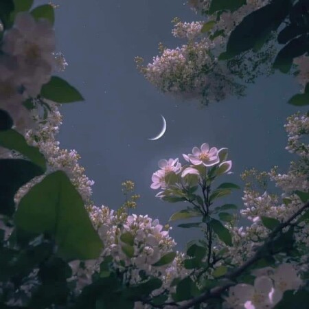 تصویر مطلب