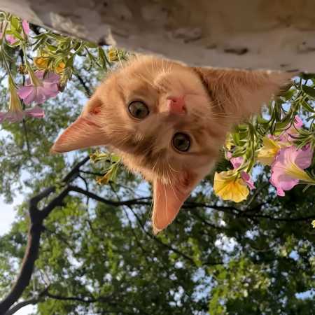 ای بی معرفت منو یادت نمیاد نگو نه