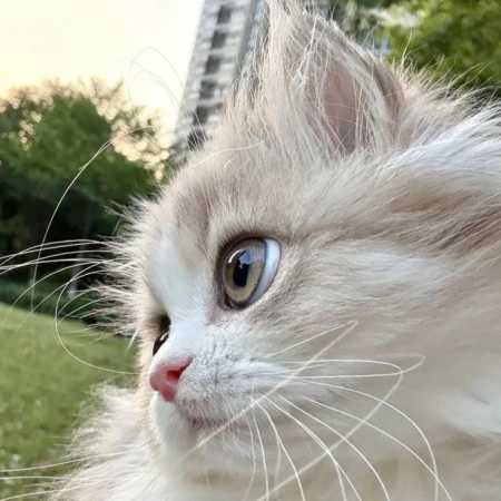 کدوم ذره ست بام هم جوش رو کدوم حس باشه